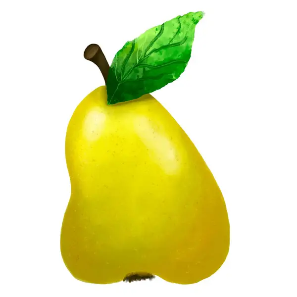 Υδατογραφία Φρούτων Κίτρινο Ζουμερό Αχλάδι — Φωτογραφία Αρχείου