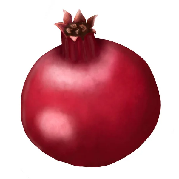 Fruit Watercolor Red Pomegranate — Stock Photo, Image