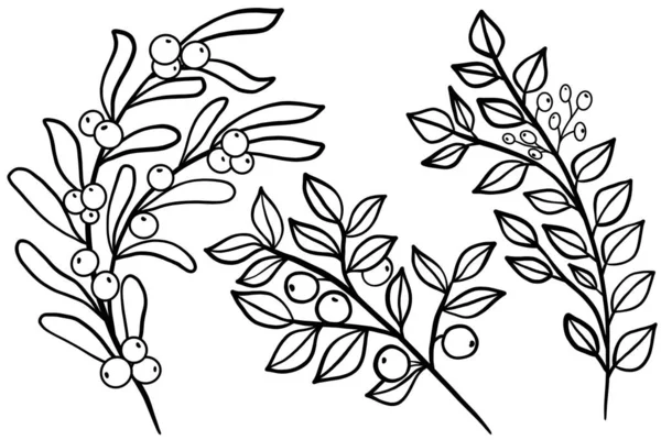 Векторный Набор Цветочных Ветвей Веток Листьев Ягодами Стиле Рисованных Вручную — стоковый вектор