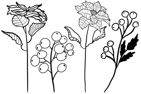 Vektor Set Aus Floralen Zweigen Zweigen Und Blättern Mit Beeren — Stockvektor