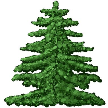Noel ağacı. Evergreen bitki ağacı. Ormanda yeşil ladin. Beyaz arka planda Yeni Yıl dekorasyonları için ladin.