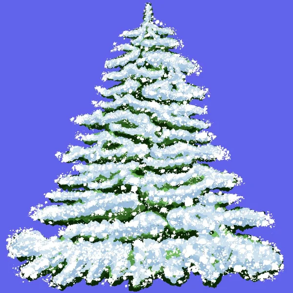 Choinka Pokryta Śniegiem Zimie Evergreen Pokryte Śniegiem Drzewo Zimie Zielony — Zdjęcie stockowe