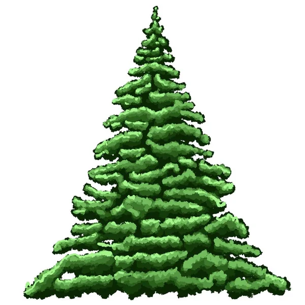 クリスマスツリー エバーグリーン植物の木 森の中の緑色のスプルー 白い背景の新年の装飾のためのスプルース — ストック写真