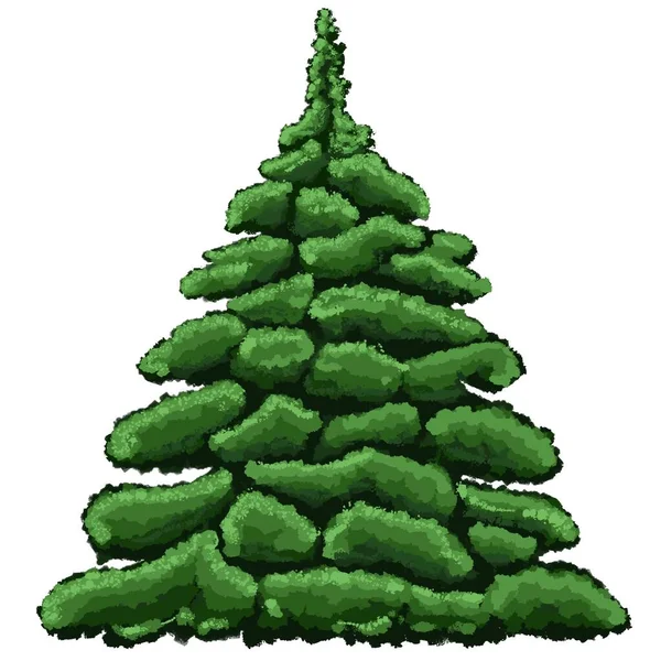Kerstboom Evergreen Plantenboom Groene Sparren Het Bos Spar Voor Decoraties — Stockfoto
