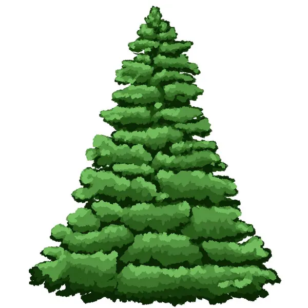 Χριστουγεννιάτικο Δέντρο Αειθαλές Φυτό Πράσινο Έλατο Στο Δάσος Spruce Για — Φωτογραφία Αρχείου