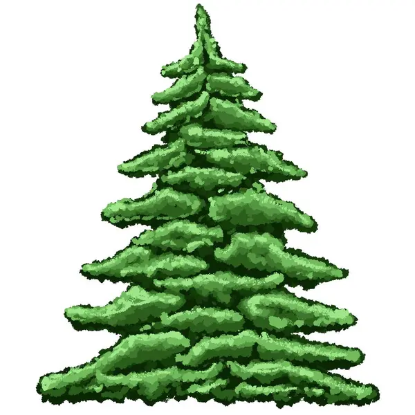 Pohon Natal Pohon Tanaman Evergreen Cemara Hijau Hutan Spruce Untuk — Stok Foto