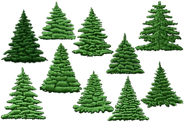 Set Weihnachtsbaum Vorhanden Immergrüner Pflanzbaum Grüne Fichten Wald Fichte Als — Stockfoto