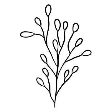 Kış çiçekli botanik dalı