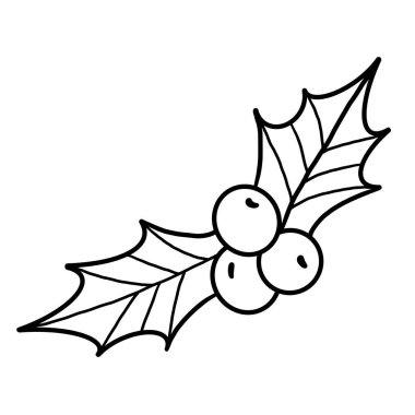 Kış çiçekli botanik dalı