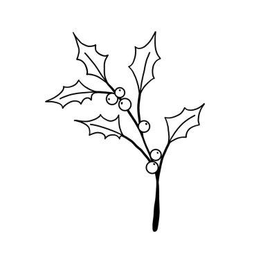 Kış çiçekli botanik dalı