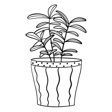 güzel ve siyah ve beyaz çiçek kabı vektör illüstrasyon grafik tasarımı