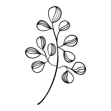 Vahşi çiçek botanik bitki vektör çizimi