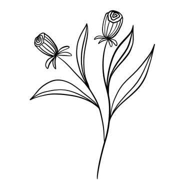 Vahşi çiçek botanik bitki vektör çizimi