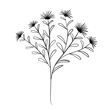 Vahşi çiçek botanik bitki vektör çizimi