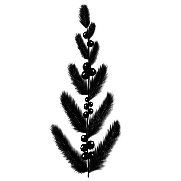 Brindille Botanique Sapin Hiver — Image vectorielle