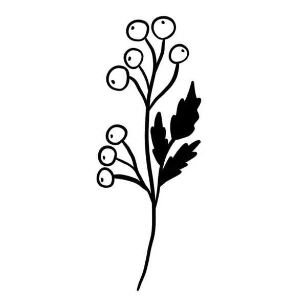 冬季植物分枝 — 图库矢量图片