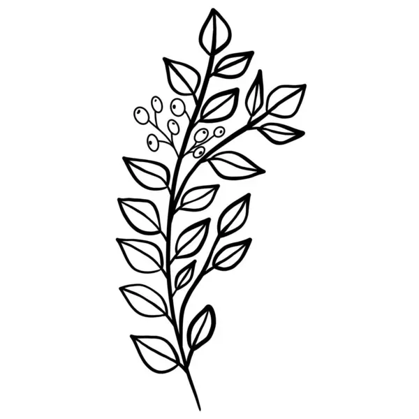Ramita Botánica Floral Invierno — Archivo Imágenes Vectoriales