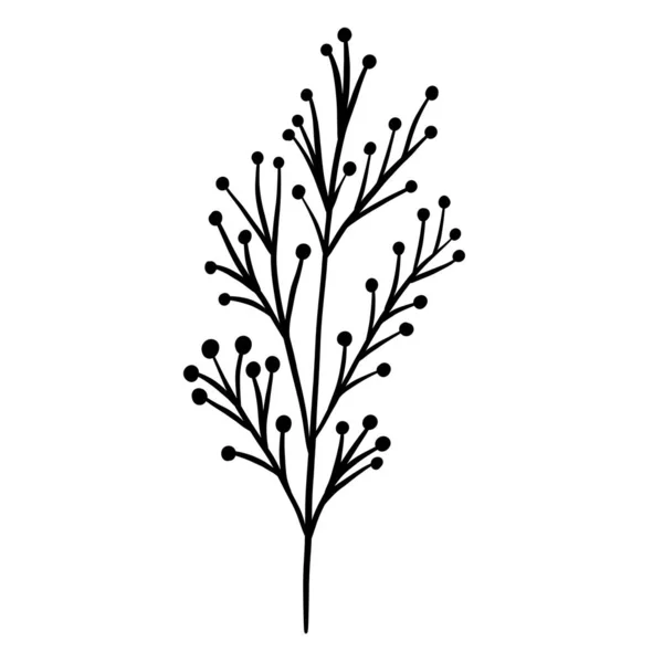 冬季植物分枝 — 图库矢量图片