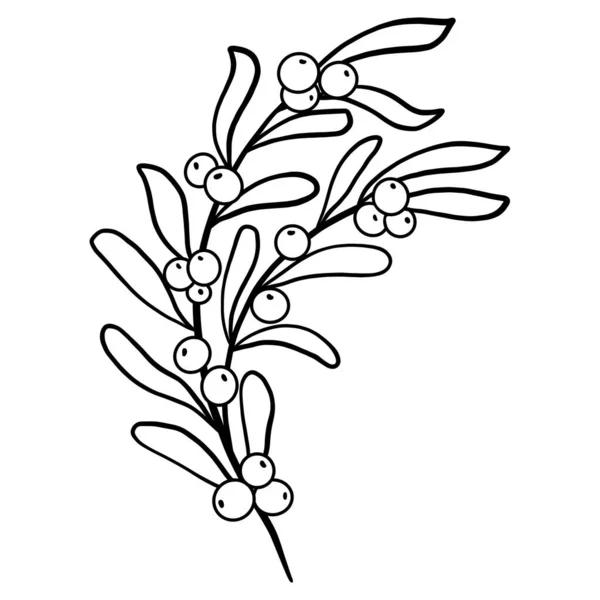 Vinter Blommig Botanisk Kvist — Stock vektor