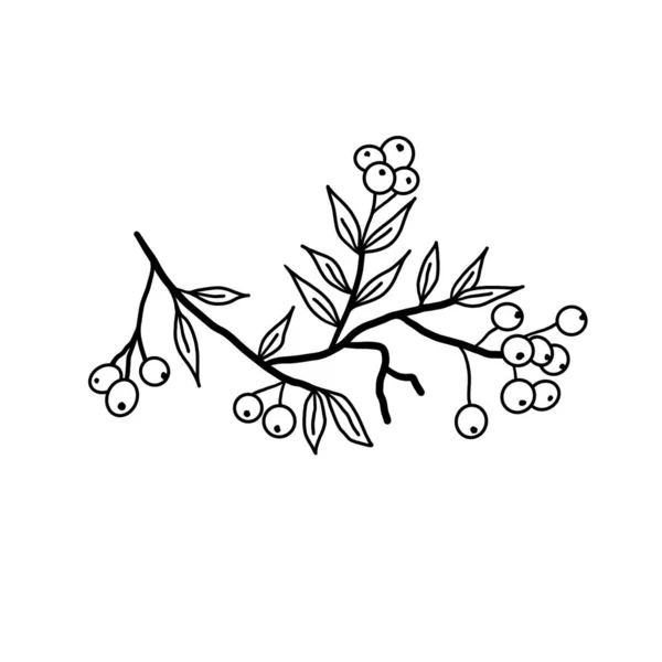 Weihnachtsbaum Mit Beeren Und Beeren Handgezeichnete Vektor Doodle Illustration Isoliert — Stockvektor