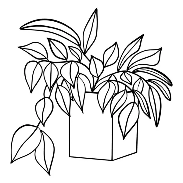 Belle Noire Blanche Illustration Vectorielle Pot Fleurs Design Graphique — Image vectorielle