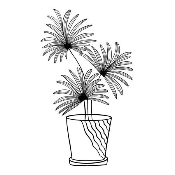 美しく 白い花の鍋のベクトル イラスト グラフィック デザイン — ストックベクタ