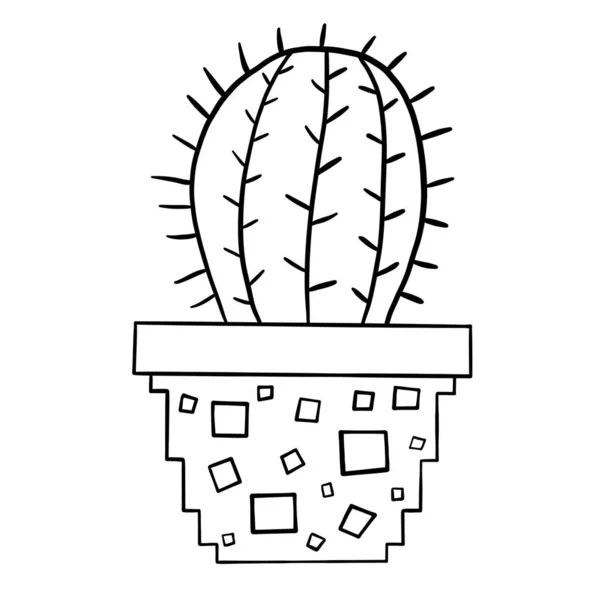 Домашня Рослина Горщиках Кактус Соковита Ботанічна Трава Векторні Ілюстрації — стоковий вектор