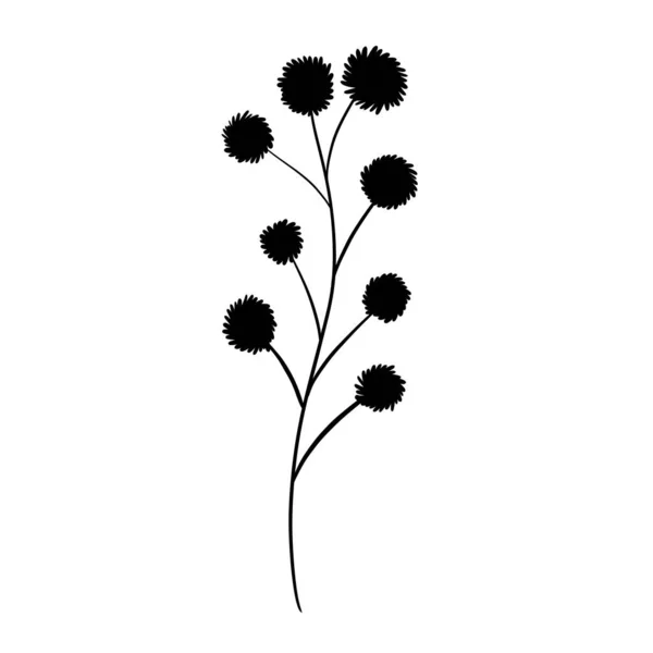 Дика Квітка Ботанічна Трава Векторні Ілюстрації — стоковий вектор