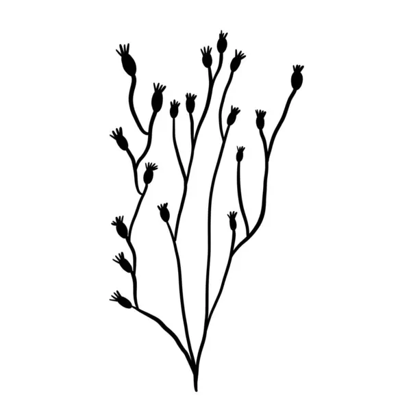 ワイルドフラワー植物ハーブベクターイラスト — ストックベクタ