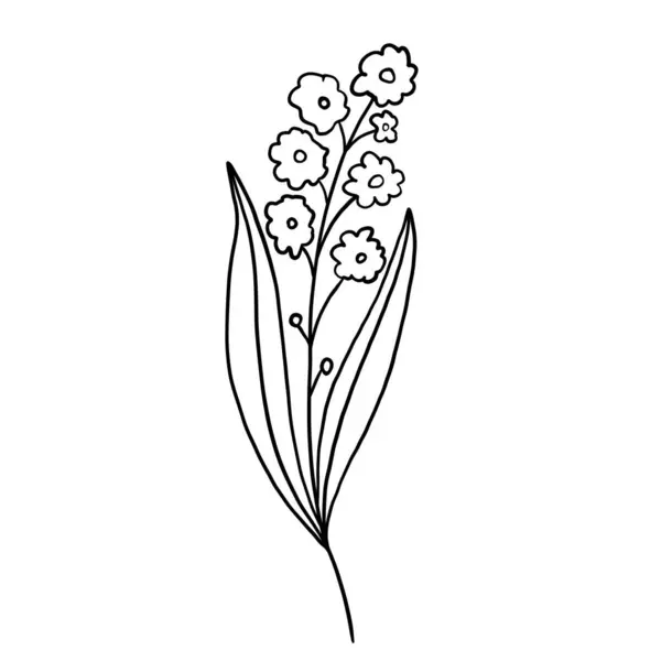 Botanische Vektorillustration Für Wildblumen — Stockvektor