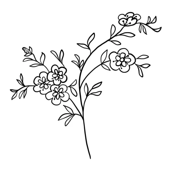 Illustration Vectorielle Herbes Botaniques Fleurs Sauvages — Image vectorielle