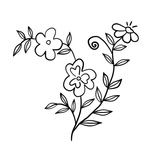 Botanische Vektorillustration Für Wildblumen — Stockvektor