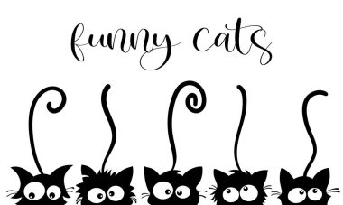 Kuyruklu kara kediler..