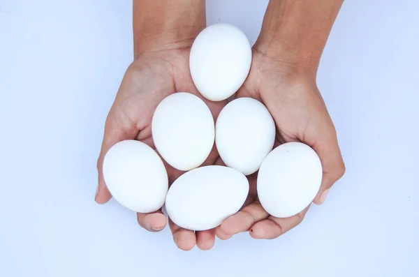 Hen\'s eggs isolated on girl\'s hand against white background. White eggs isolated on hand against white background. Eggs ready for hatching. Proteinous food. Eggs full of protein. With selective focus.