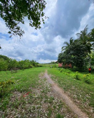 Tayland 'da orman yolu 