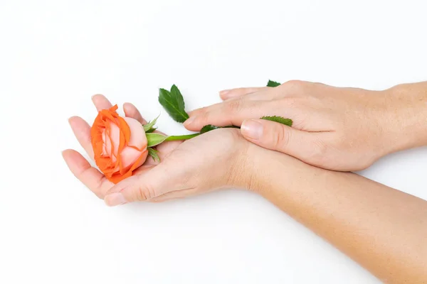 Beauty womans hand with rose flowers lies on the table, white background. Natural beauty product and hand care, moisturizing and wrinkle reduction, skin care