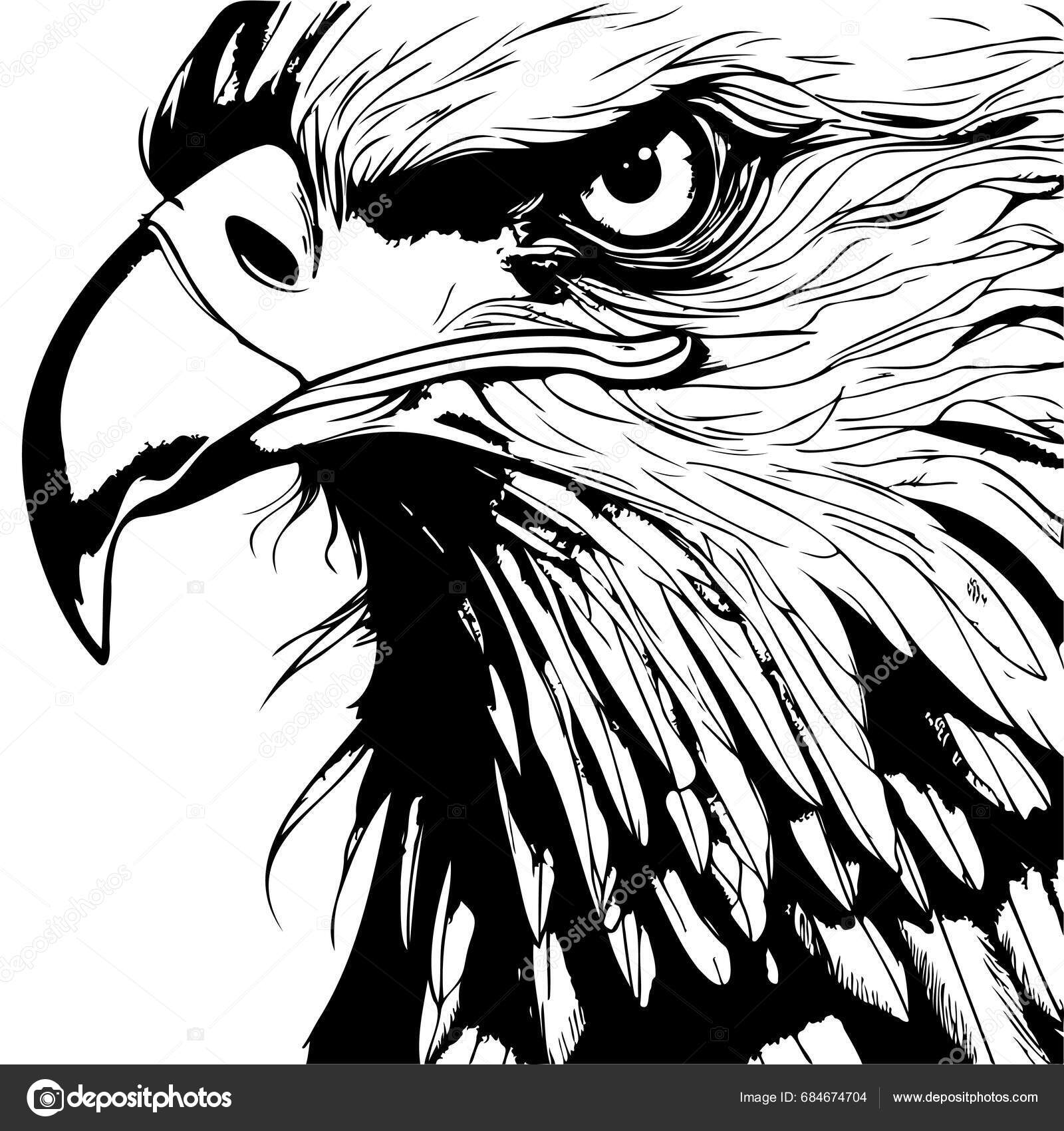 Hand Sketch Eagle Head Vector Illustration Stock Vector by ...