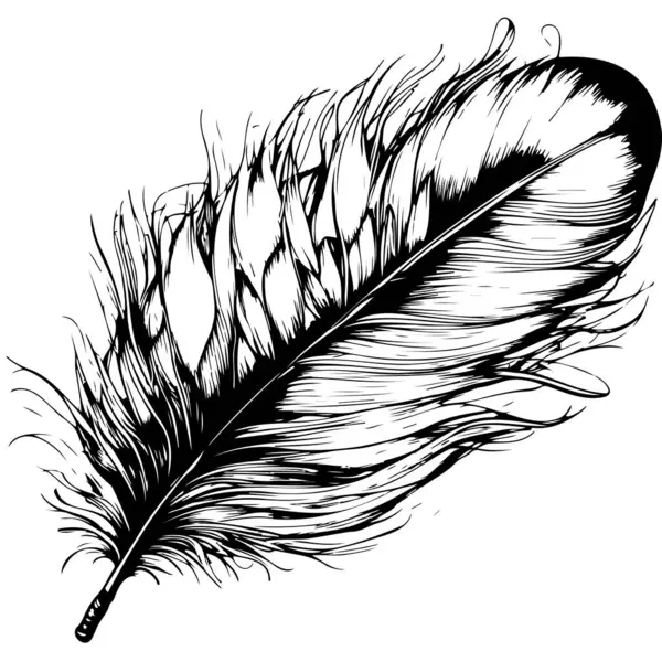 22,114 Black White Quill Ink Royalty-Free Images, Stock Photos & Pictures