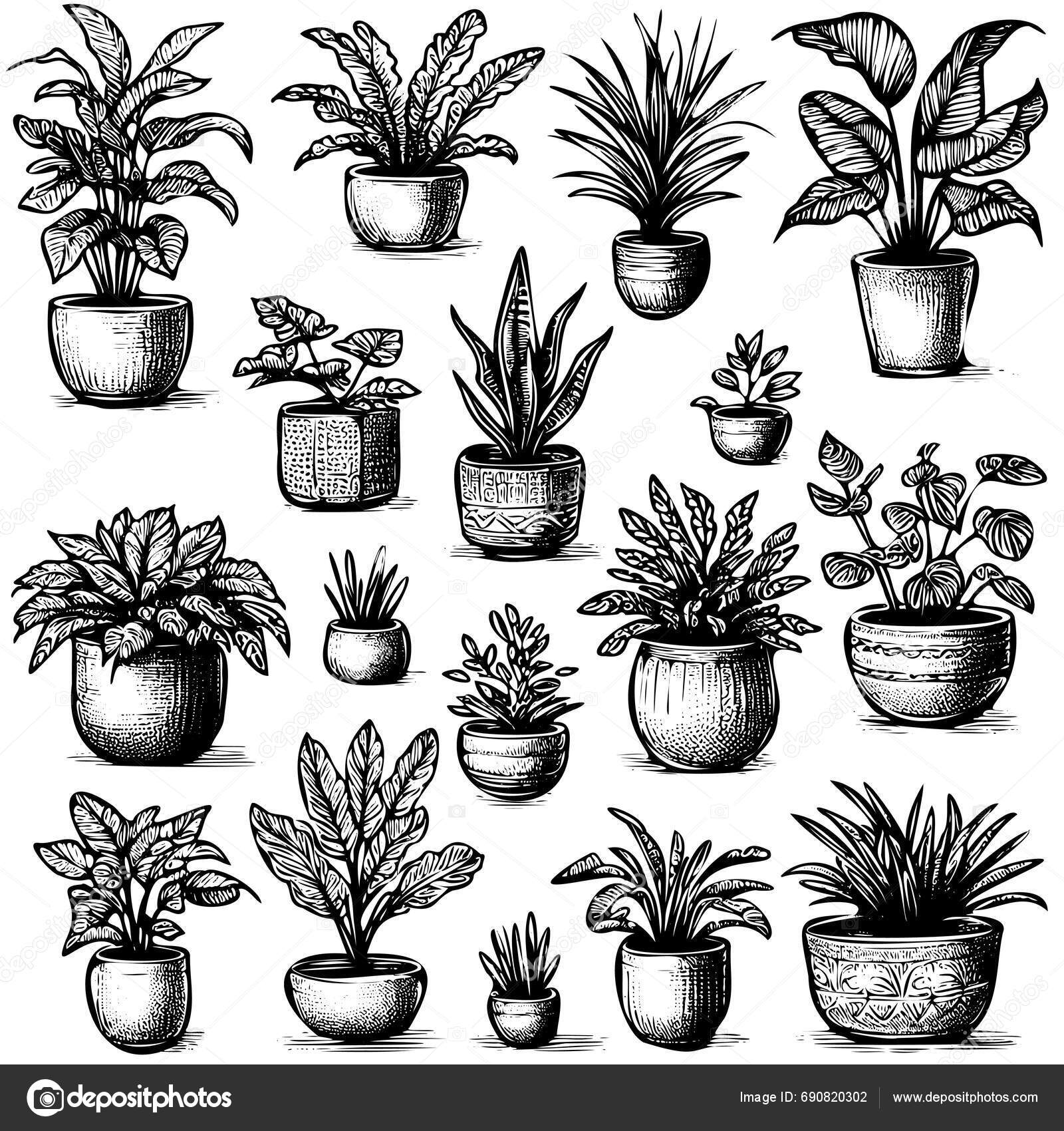Line Potted Plants Home Decor Plants Cute Pots Hand Drawn Stock Vector line-potted-plants-home-decor-plants-cute-pots-hand-drawn-stock-vector