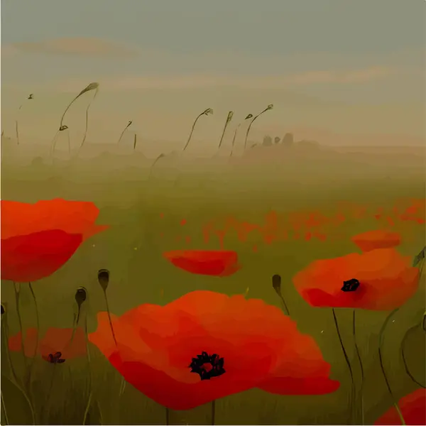 Beautiful field of red poppies in the sunset light. close up of red poppy  flowers in a field. Red flowers background. Beautiful nature. Landscape.  Romantic red flowers. Stock Photo