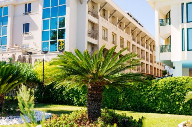 Önünde yeşil palmiye ağaçları olan yemyeşil bir otel bahçesi ve arka planında mavi pencereler olan modern binalar. Rahatlama kavramı