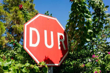 Yeşil yapraklar ve çiçeklere karşı koyan DUR yazılı kırmızı Türk dur tabelası. Mavi gökyüzü arka planı. Trafik işaretleri ve doğa kavramı