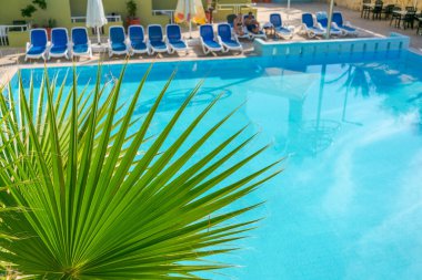 Arka planda güneşlik ve havuzu olan yeşil bir palmiye yaprağının yakın çekimi. Tropikal ve rahatlatıcı bir tatil atmosferi yakalar.