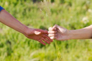 İki kişi el ele tutuşuyor ve biri bir çiçek tutuyor. Çiçek iki elin ortasında ve çok güzel, canlı bir renktir. İnsanlar gülümsüyor.