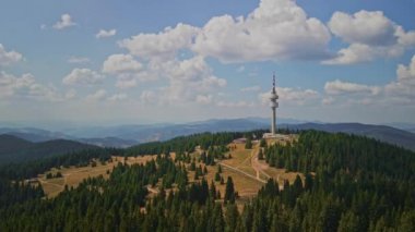 Arka planda Snezhanka kulesi olan büyük bir çam ormanının üzerinde uçan insansız hava aracının 4K görüntüleri.