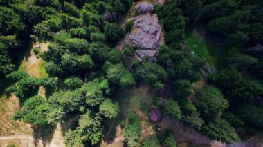 Çam ormanları ve uçurumların üzerinde uçan insansız hava aracının 4k görüntüsü