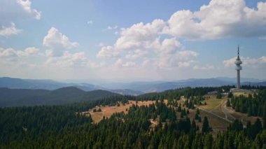 Arka planda Snezhanka kulesi olan büyük bir çam ormanının üzerinde uçan insansız hava aracının 4K görüntüleri.