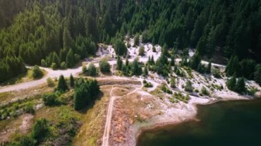 Ormandaki göl kenarında uçan İHA 'nın 4K görüntüleri.