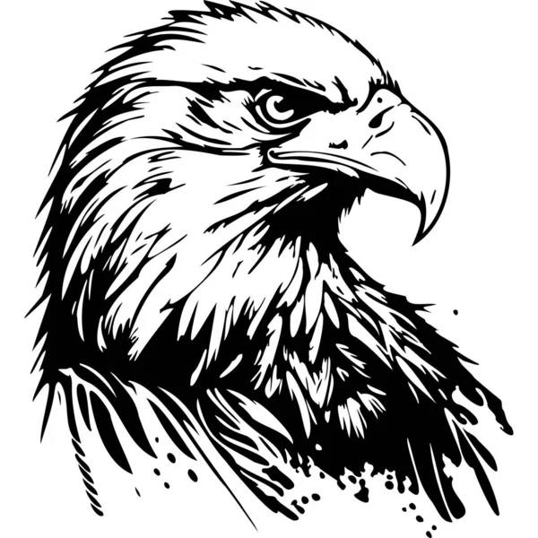 Ρεαλιστικό Φαλακρός Αετός Κεφάλι Πουλιών — Διανυσματικό Αρχείο