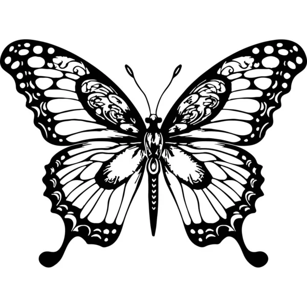 Schwalbenschwanz Schmetterling Fliegender Insektenkäfer — Stockvektor